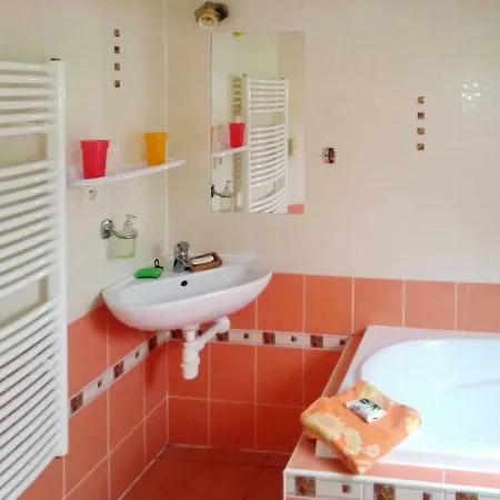 度假居 Ferienhaus Sykora 100s Velke Svatonovice